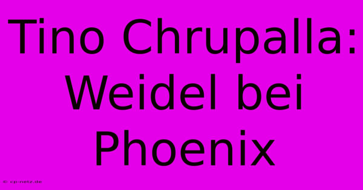 Tino Chrupalla:  Weidel Bei Phoenix