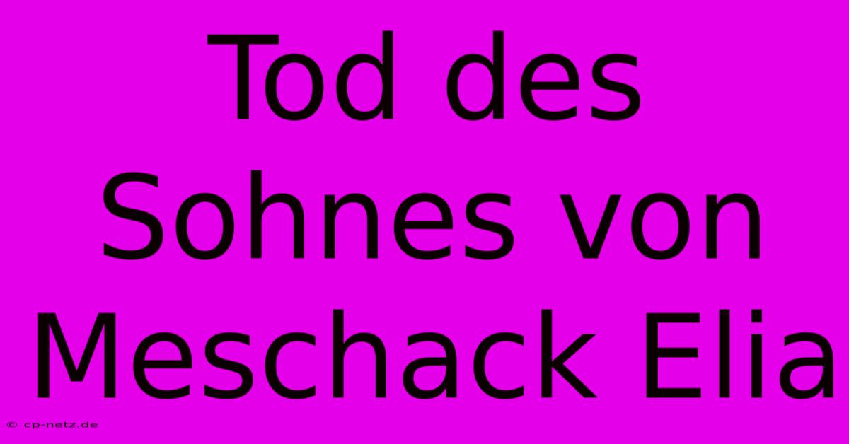 Tod Des Sohnes Von Meschack Elia