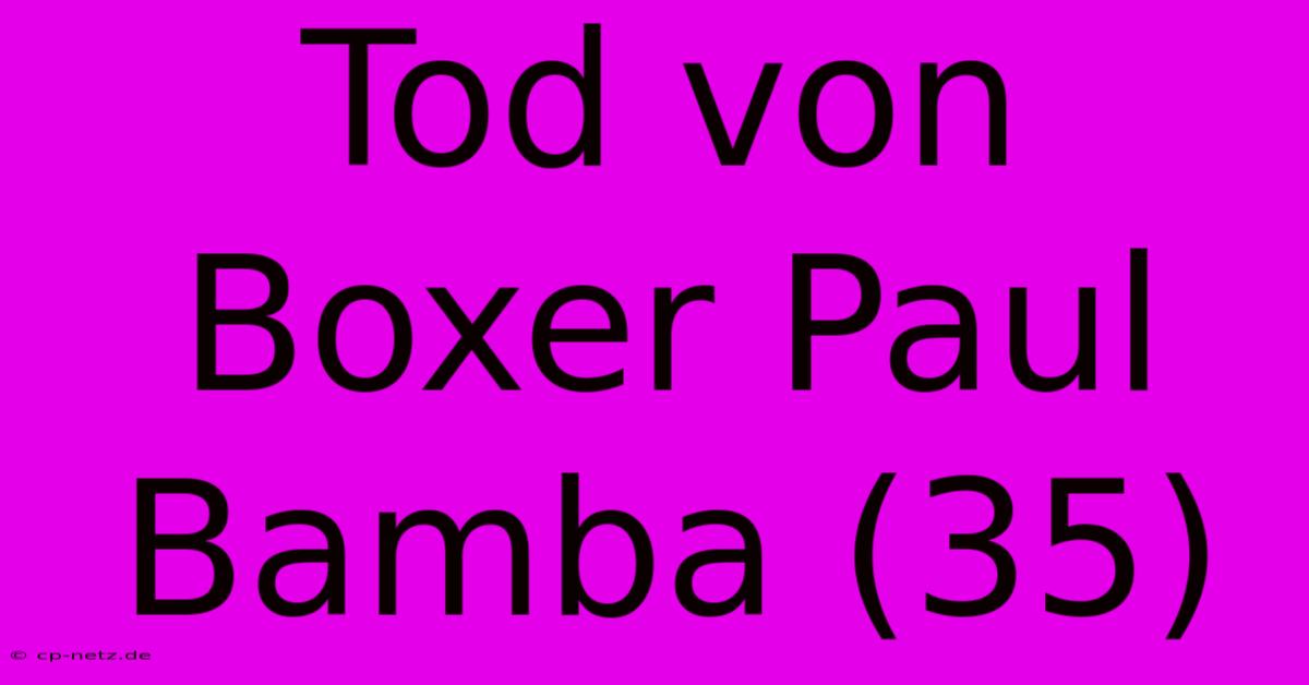 Tod Von Boxer Paul Bamba (35)