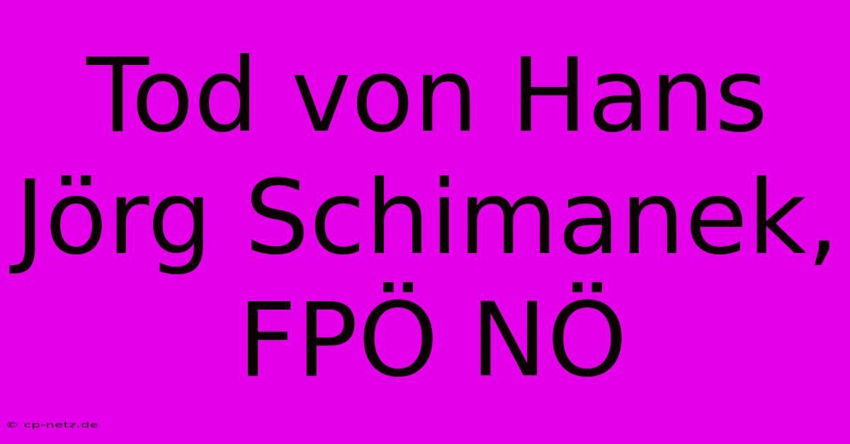 Tod Von Hans Jörg Schimanek, FPÖ NÖ