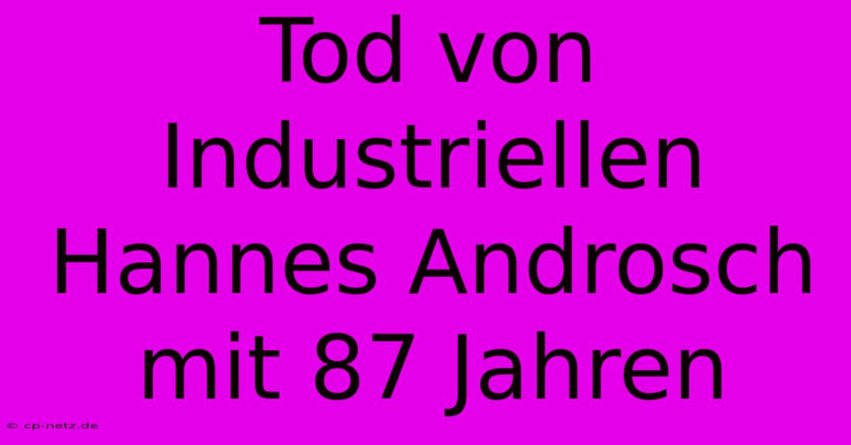 Tod Von Industriellen Hannes Androsch Mit 87 Jahren