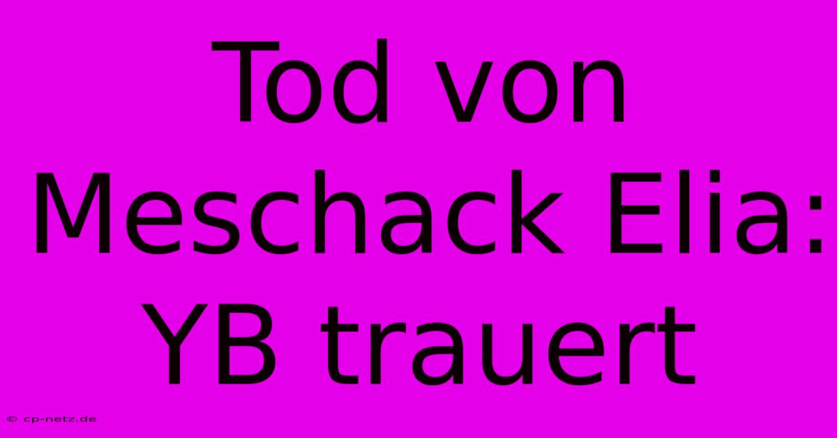 Tod Von Meschack Elia: YB Trauert