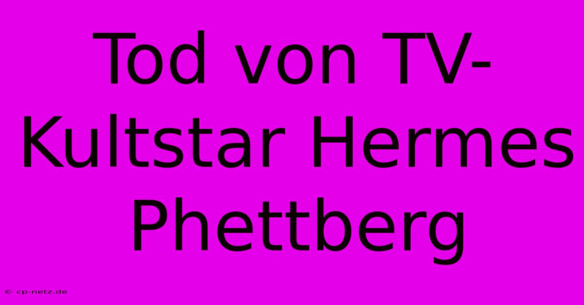 Tod Von TV-Kultstar Hermes Phettberg