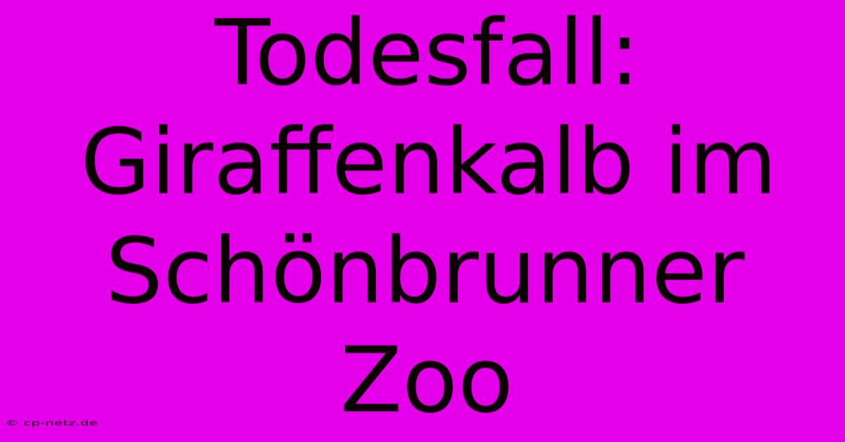 Todesfall: Giraffenkalb Im Schönbrunner Zoo