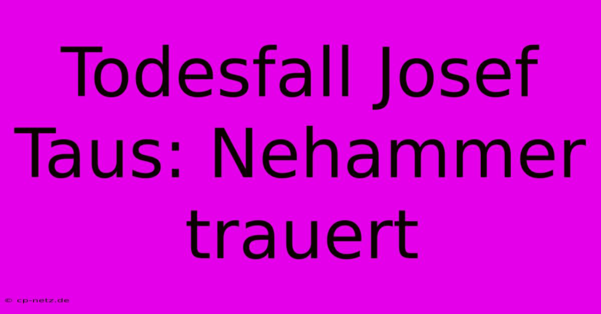 Todesfall Josef Taus: Nehammer Trauert