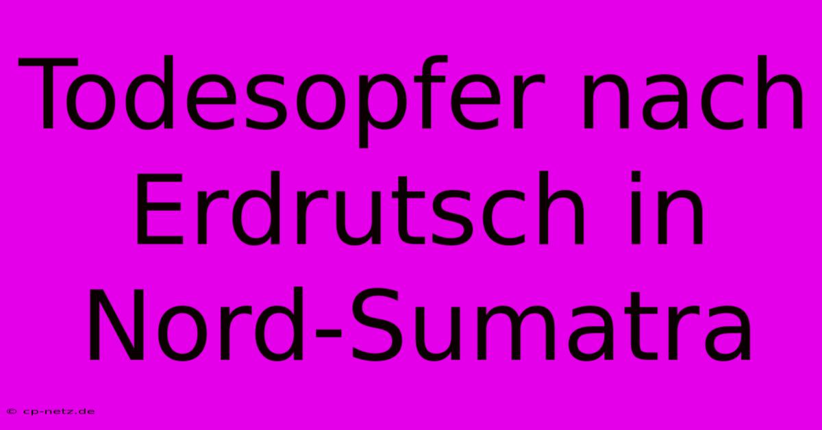 Todesopfer Nach Erdrutsch In Nord-Sumatra