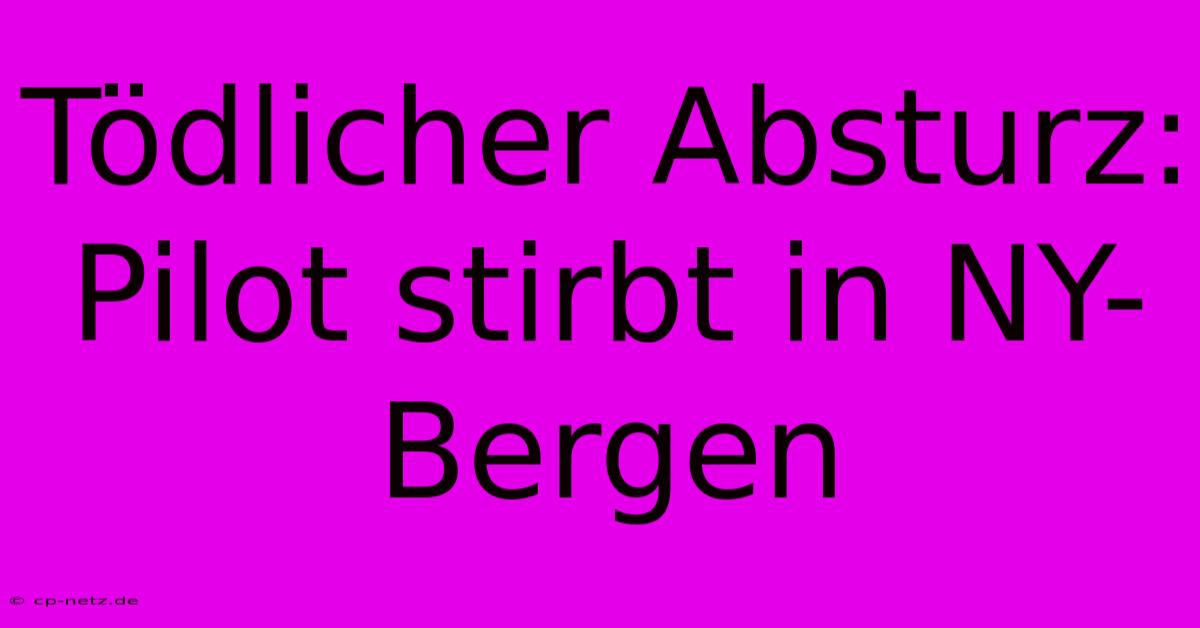 Tödlicher Absturz: Pilot Stirbt In NY-Bergen