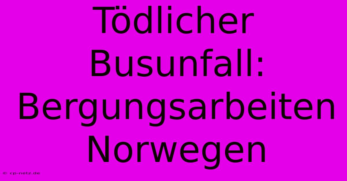 Tödlicher Busunfall: Bergungsarbeiten Norwegen