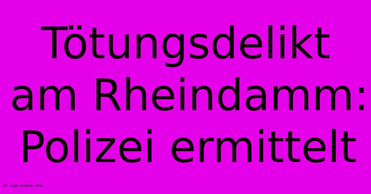 Tötungsdelikt Am Rheindamm: Polizei Ermittelt