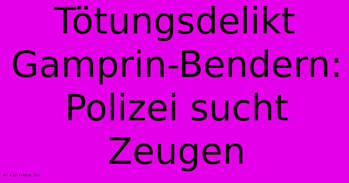 Tötungsdelikt Gamprin-Bendern: Polizei Sucht Zeugen