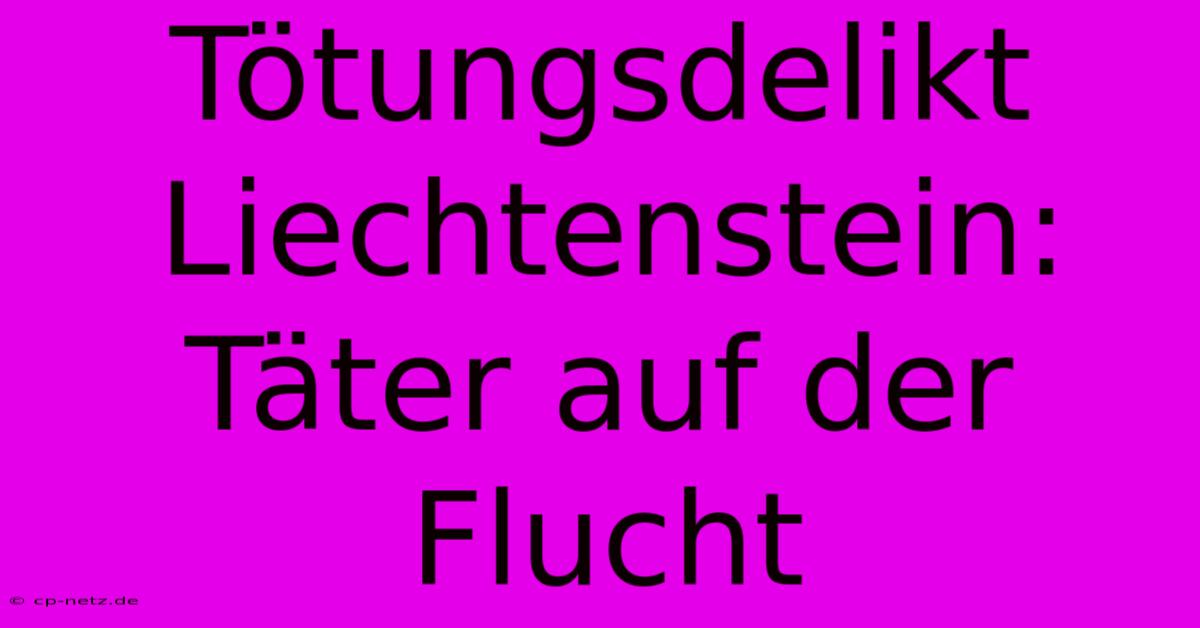 Tötungsdelikt Liechtenstein: Täter Auf Der Flucht