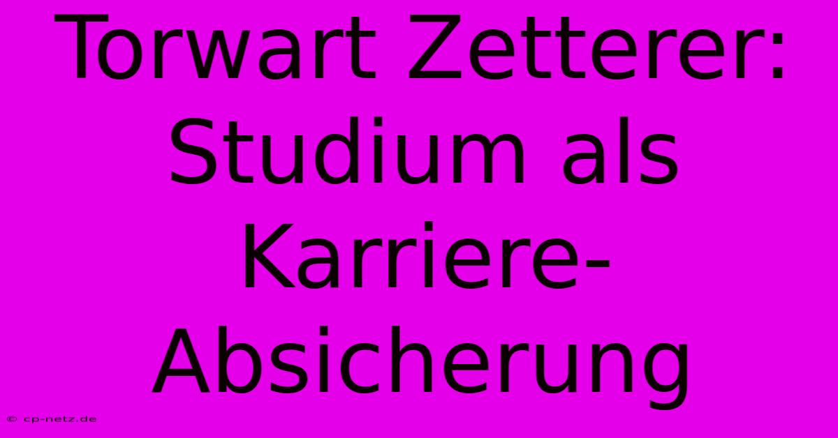 Torwart Zetterer: Studium Als Karriere-Absicherung