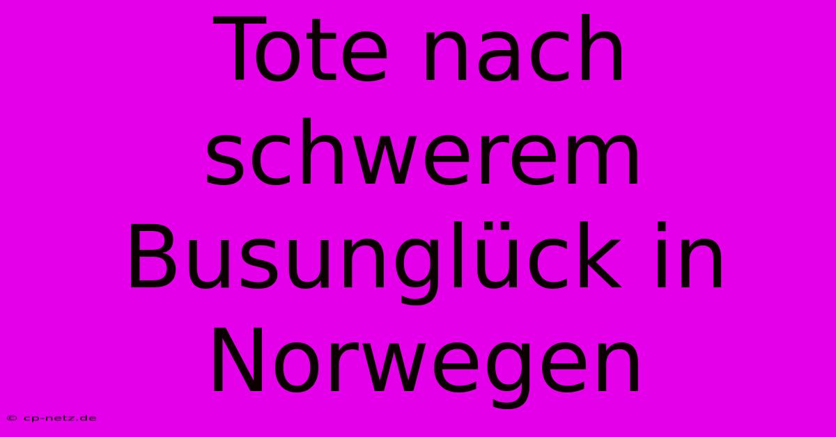 Tote Nach Schwerem Busunglück In Norwegen