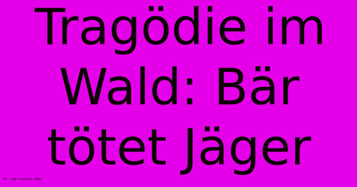 Tragödie Im Wald: Bär Tötet Jäger