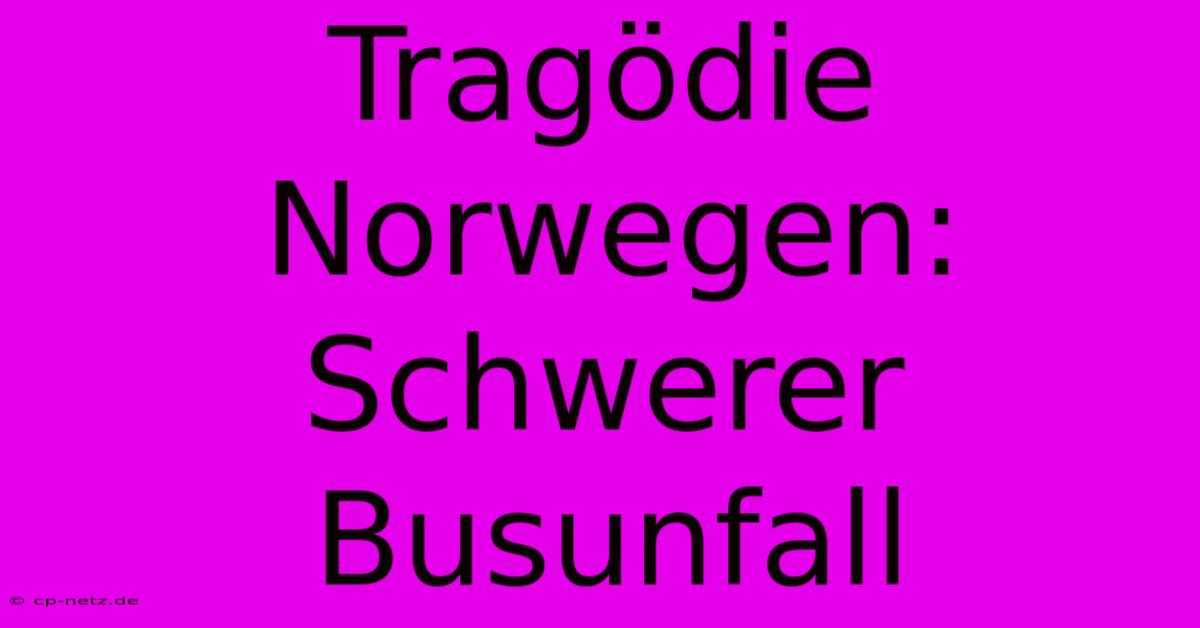 Tragödie Norwegen: Schwerer Busunfall