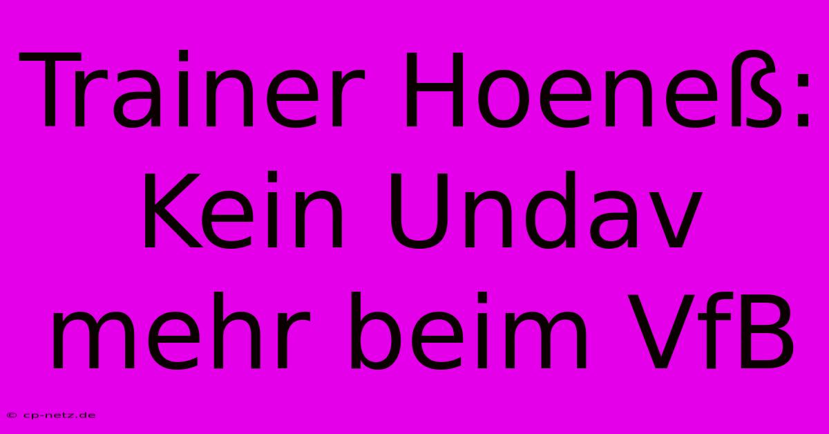 Trainer Hoeneß: Kein Undav Mehr Beim VfB