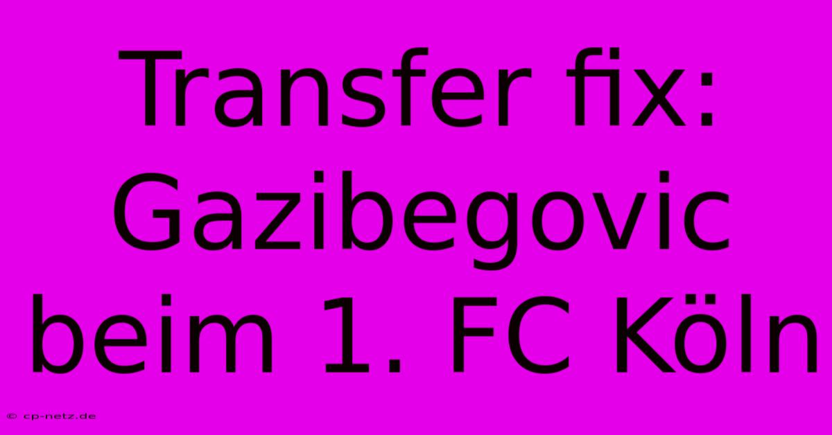 Transfer Fix: Gazibegovic Beim 1. FC Köln