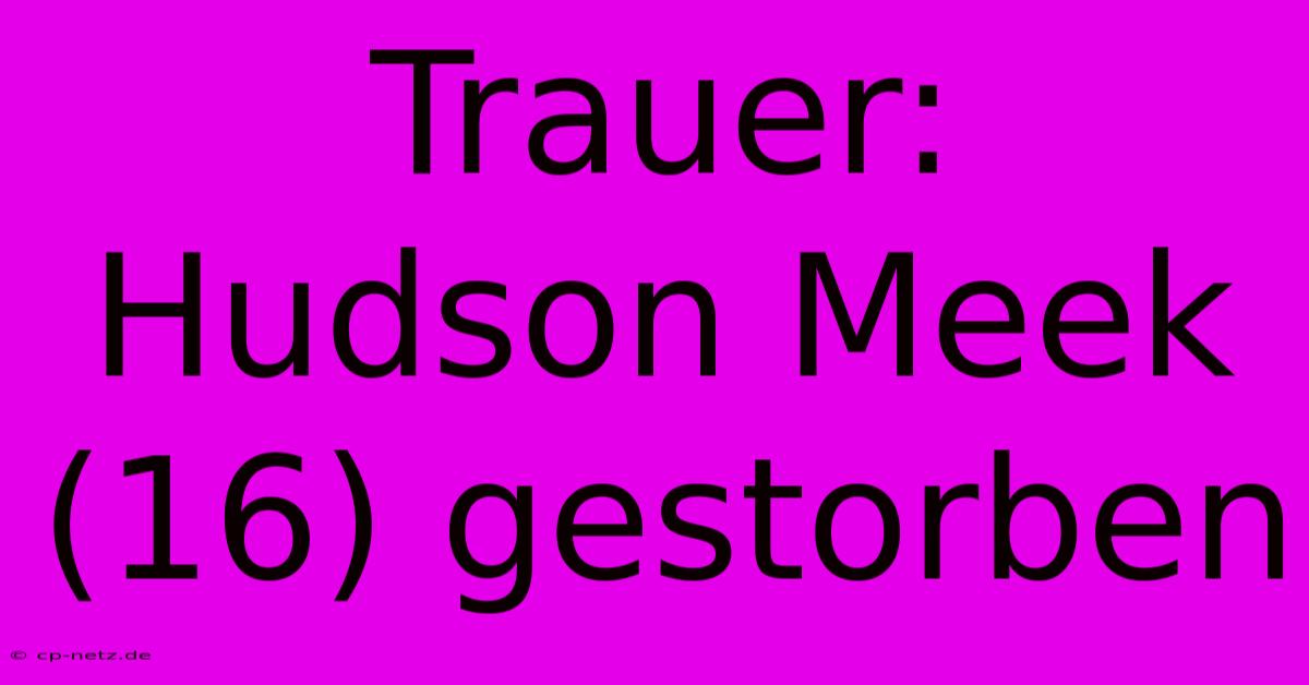 Trauer: Hudson Meek (16) Gestorben