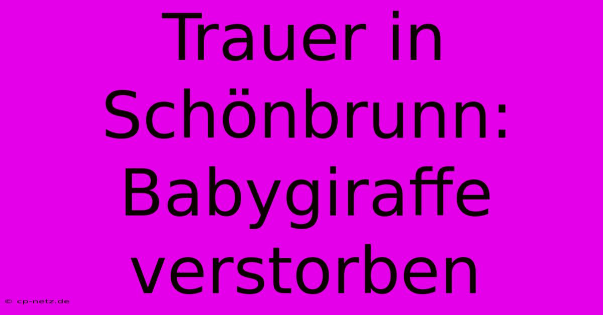 Trauer In Schönbrunn: Babygiraffe Verstorben