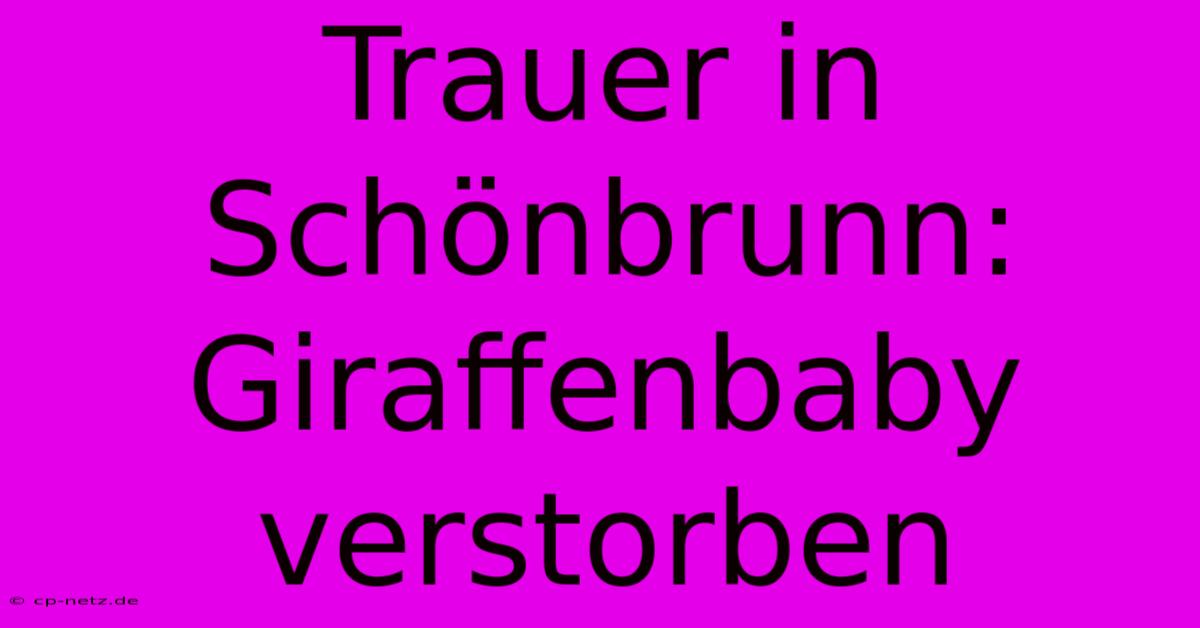 Trauer In Schönbrunn: Giraffenbaby Verstorben