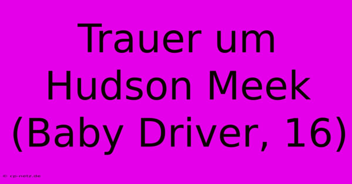 Trauer Um Hudson Meek (Baby Driver, 16)