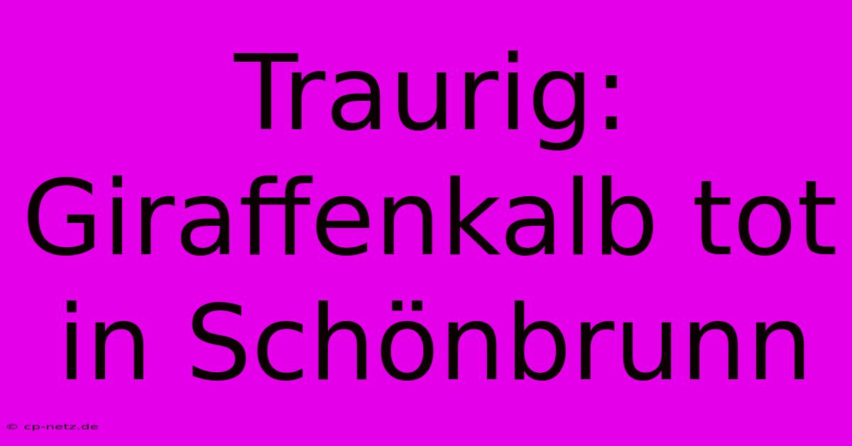 Traurig: Giraffenkalb Tot In Schönbrunn