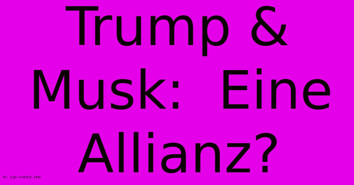 Trump & Musk:  Eine Allianz?