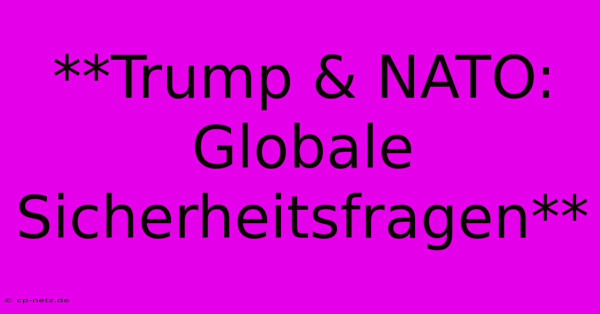 **Trump & NATO:  Globale Sicherheitsfragen**