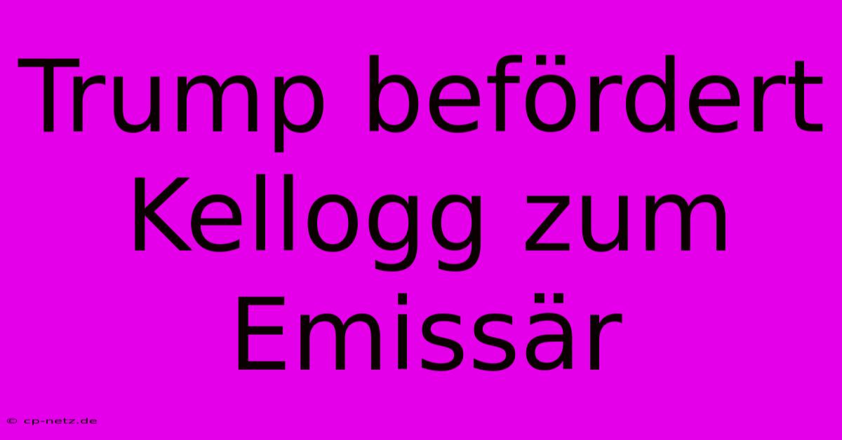 Trump Befördert Kellogg Zum Emissär