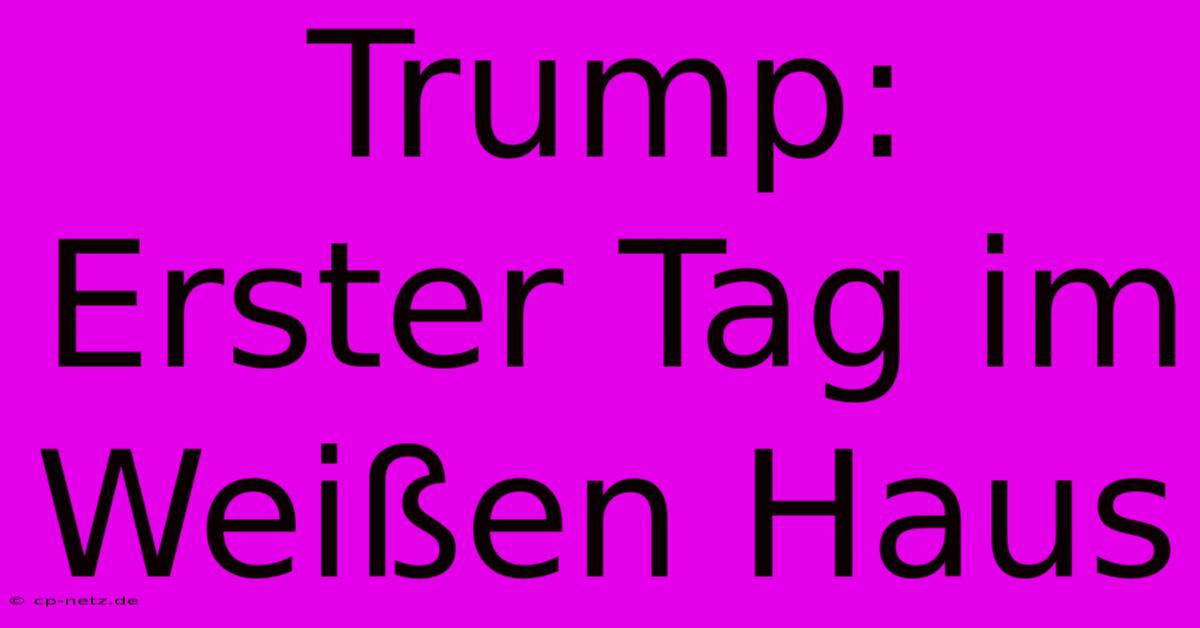 Trump:  Erster Tag Im Weißen Haus