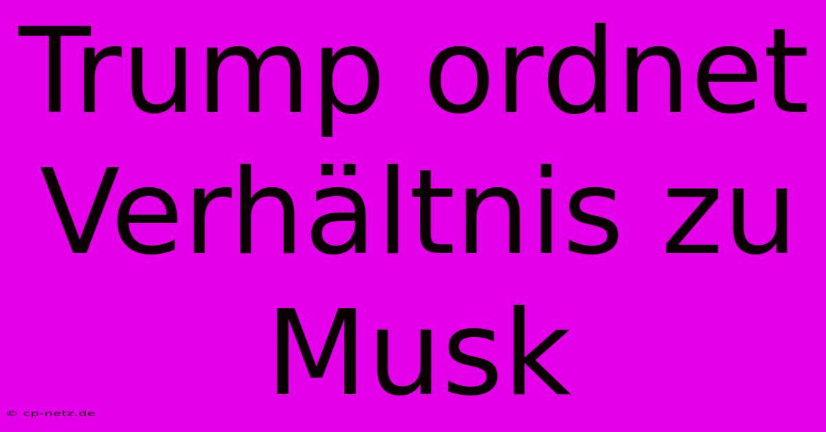 Trump Ordnet Verhältnis Zu Musk