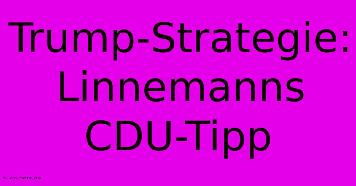 Trump-Strategie: Linnemanns CDU-Tipp