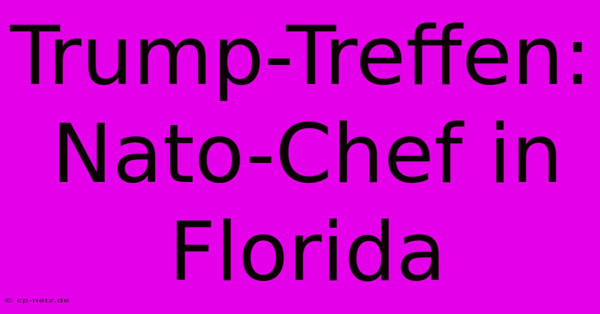 Trump-Treffen: Nato-Chef In Florida