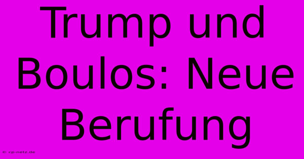 Trump Und Boulos: Neue Berufung