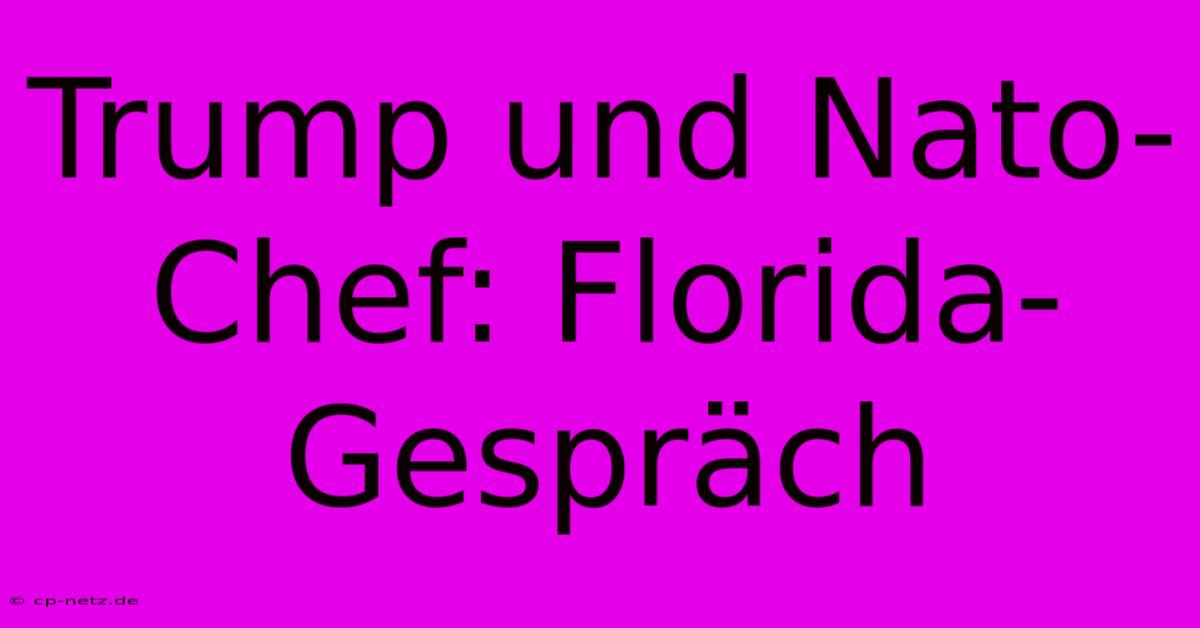 Trump Und Nato-Chef: Florida-Gespräch