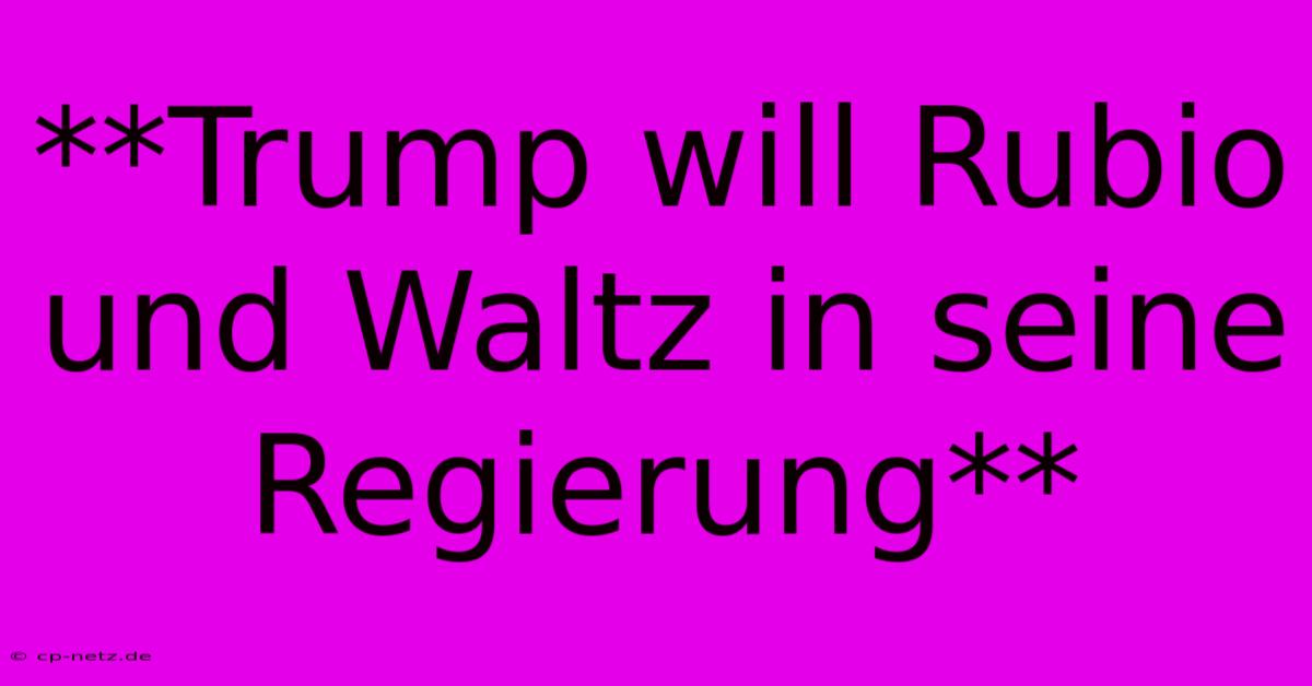 **Trump Will Rubio Und Waltz In Seine Regierung**