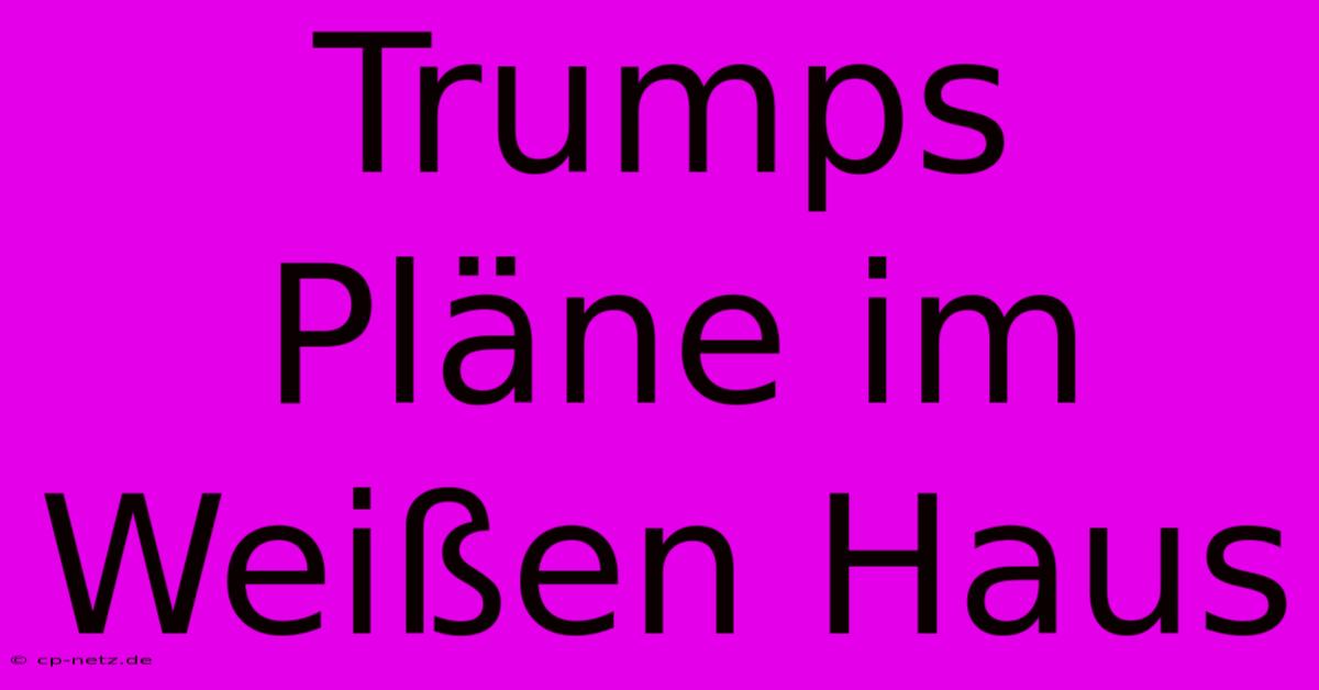 Trumps Pläne Im Weißen Haus