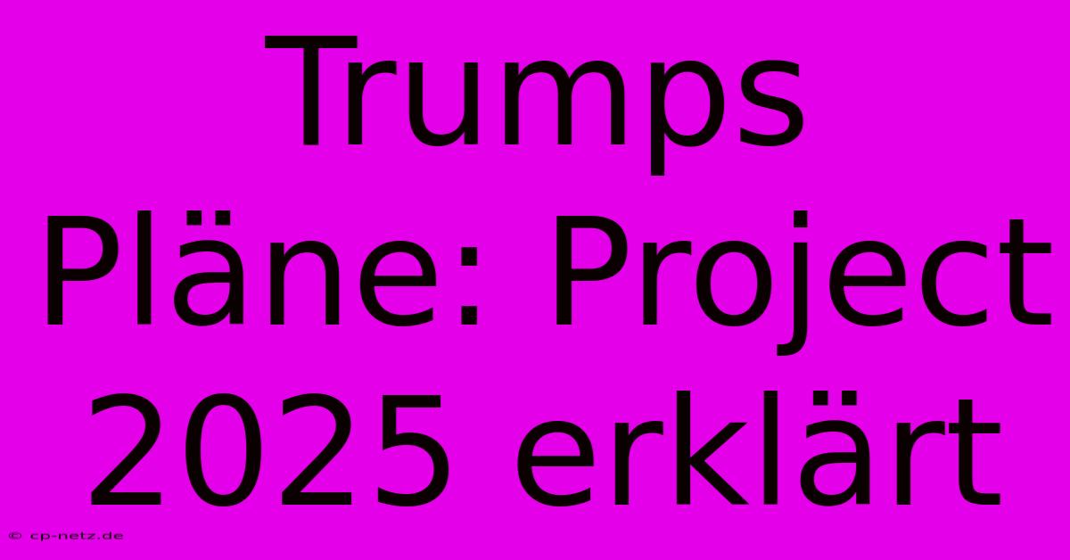 Trumps Pläne: Project 2025 Erklärt