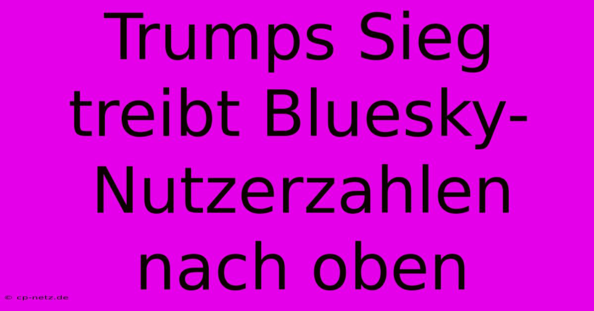 Trumps Sieg Treibt Bluesky-Nutzerzahlen Nach Oben 