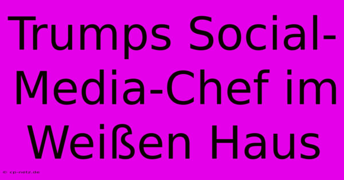 Trumps Social-Media-Chef Im Weißen Haus