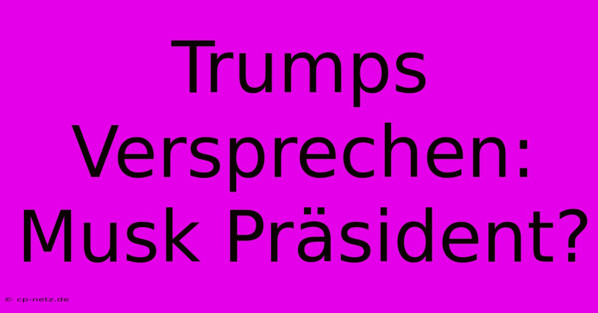 Trumps Versprechen: Musk Präsident?