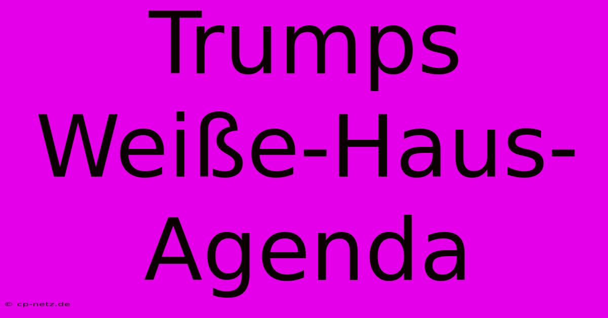 Trumps Weiße-Haus-Agenda