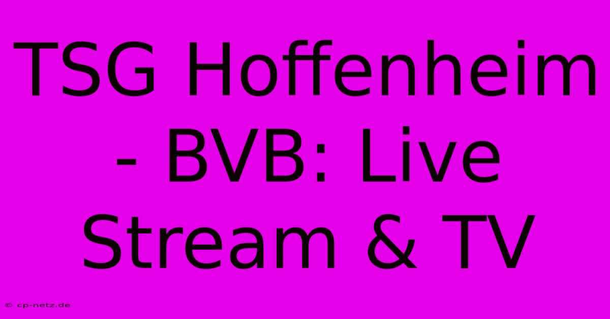 TSG Hoffenheim - BVB: Live Stream & TV