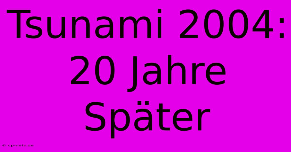 Tsunami 2004: 20 Jahre Später