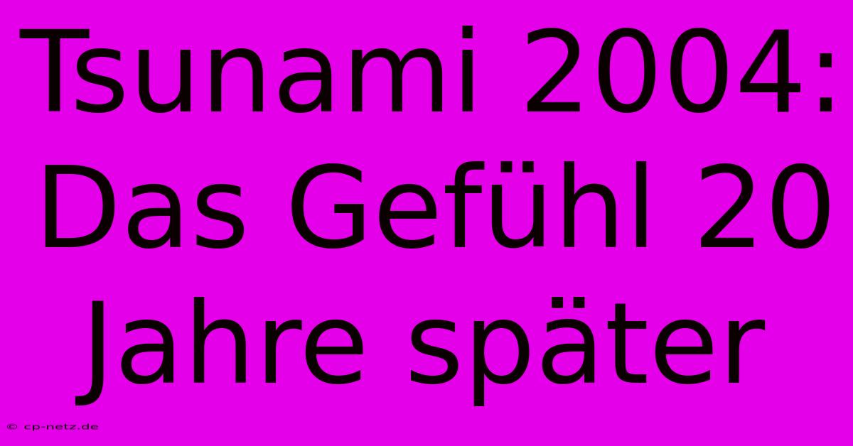 Tsunami 2004: Das Gefühl 20 Jahre Später