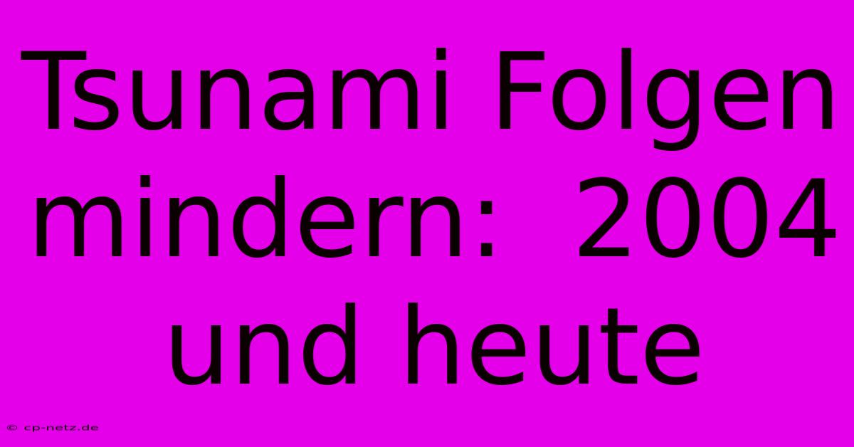 Tsunami Folgen Mindern:  2004 Und Heute