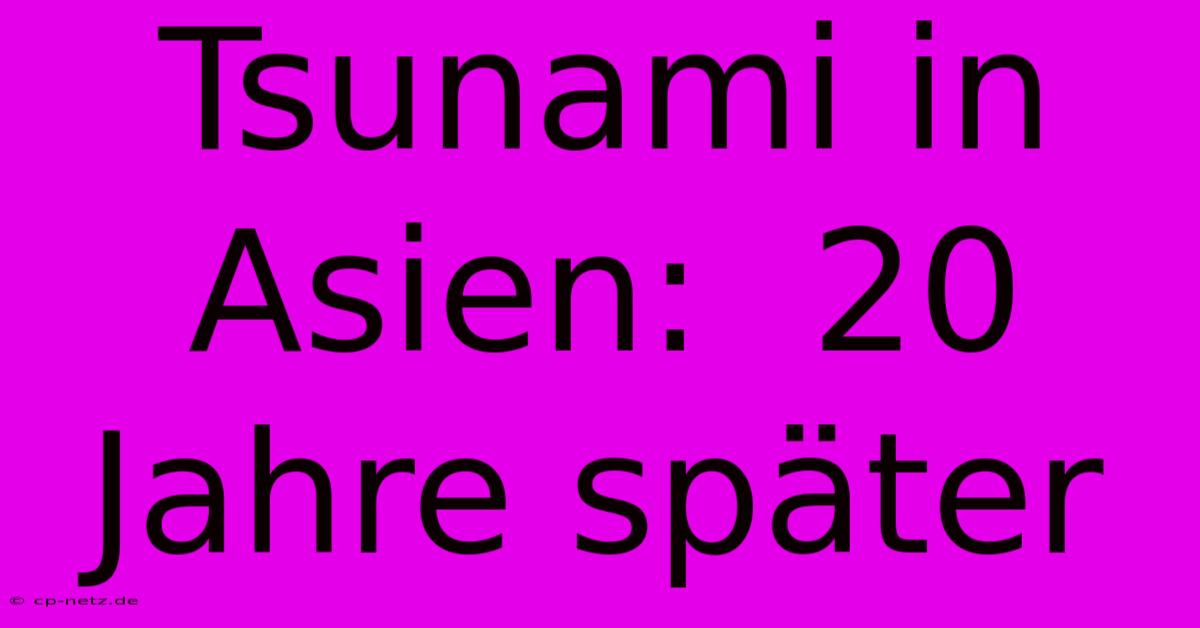 Tsunami In Asien:  20 Jahre Später