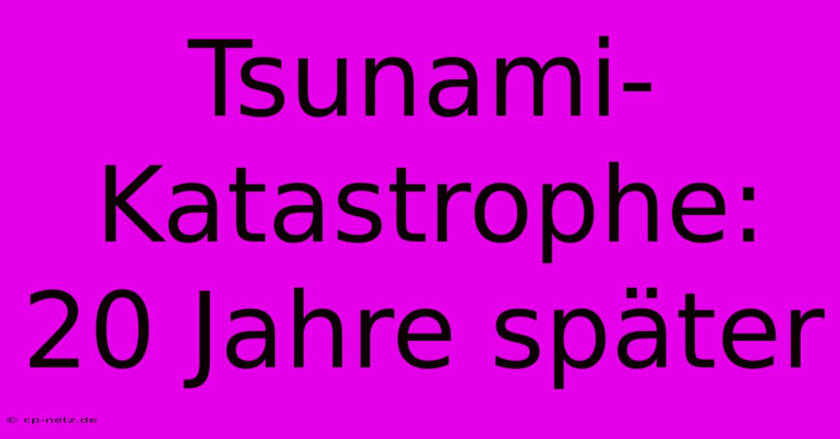 Tsunami-Katastrophe: 20 Jahre Später