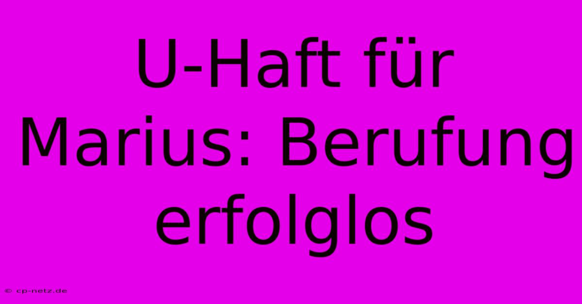 U-Haft Für Marius: Berufung Erfolglos