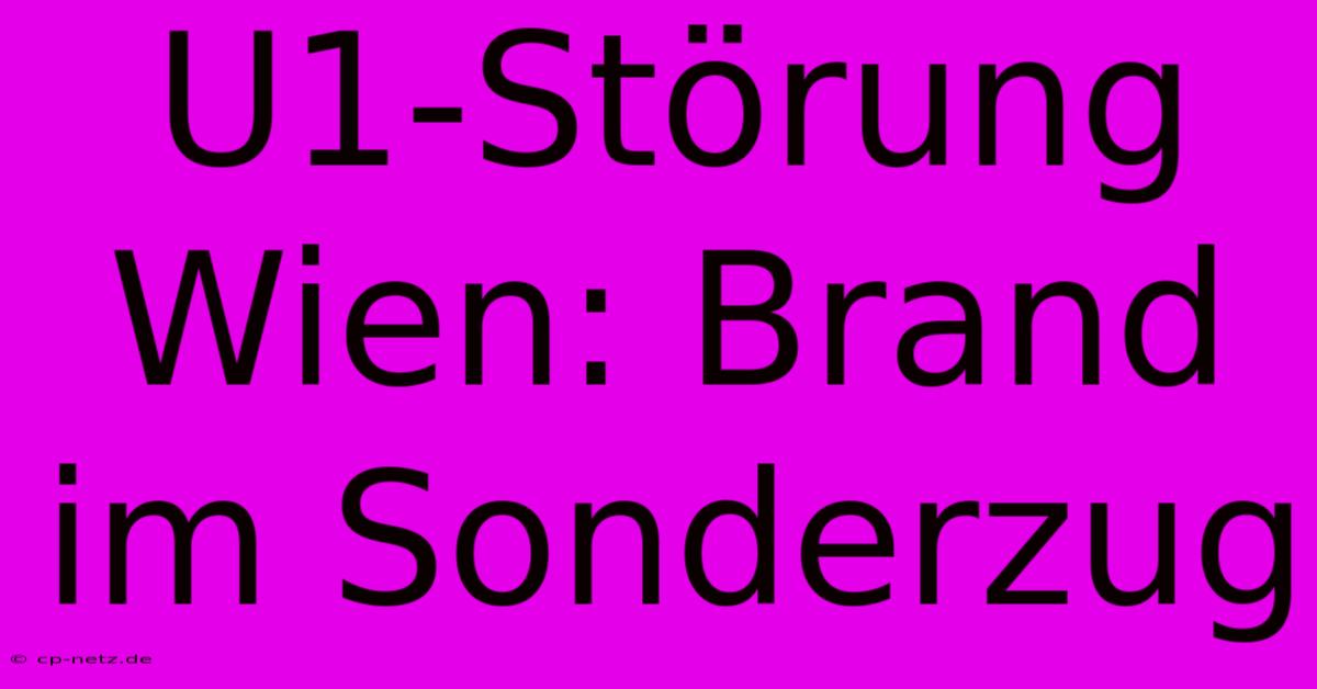 U1-Störung Wien: Brand Im Sonderzug